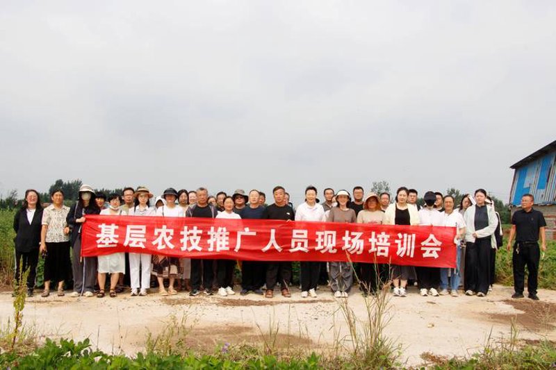 农业产业：如何巧妙运用五种技巧提高效率